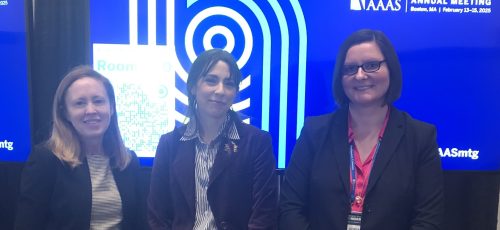 IMG_0239 copy IMG_0239 copy