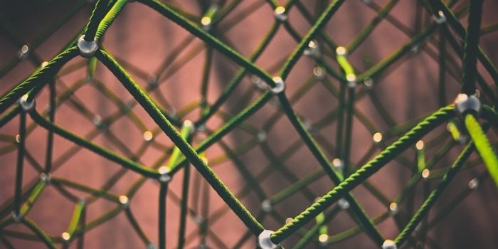 network-1246209_7003 network-1246209_7003